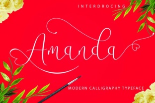 Amanda: A Practical Look at What This Tool Offers Content Creators and Professionals