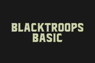Blacktroops Basic: A Practical Starting Point for Everyday Users