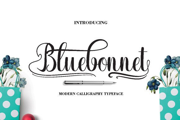 Bluebonnet: A Practical Guide to Getting Started