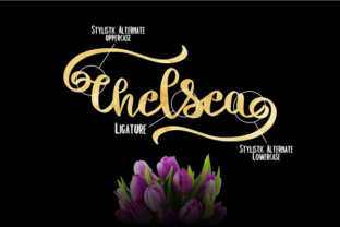 Chelsea: The Creative Hub for Modern Content Makers