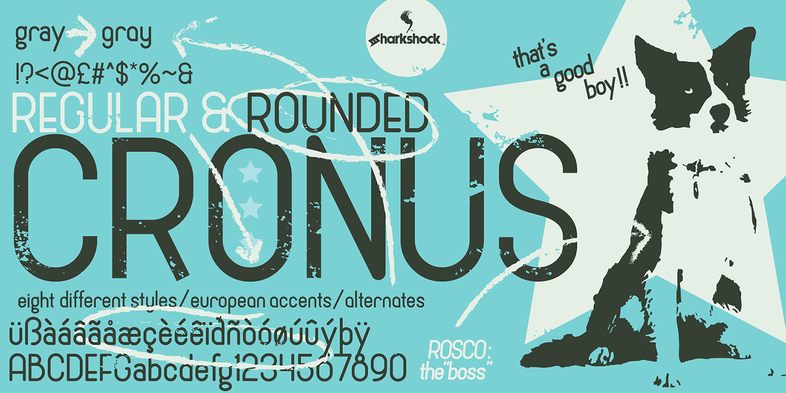 Cronus: A Practical Guide to Understanding Its Real-World Applications