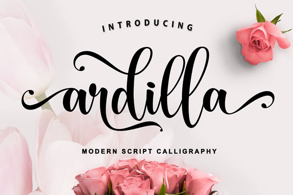 Discovering Ardilla Font: A Fresh Take on Digital Typography
