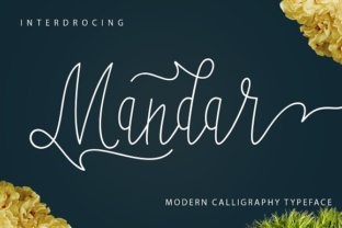 Evaluating Mandar: A Practical Guide for Decision-Makers