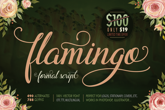 Flamingo as Creative Muse