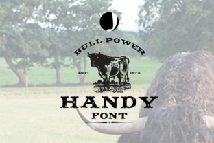 Getting the Most from Handy: Avoid These Common Pitfalls
