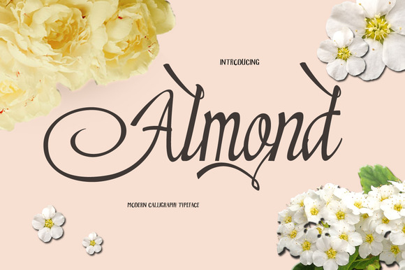 How Almond Supports Strategic Planning and Long-Term Outcomes
