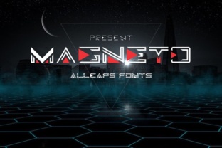Magneto: A Practical Platform for Modern Digital Experiences
