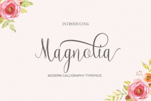 Magnolia CMS: Building Digital Experiences That Adapt and Scale