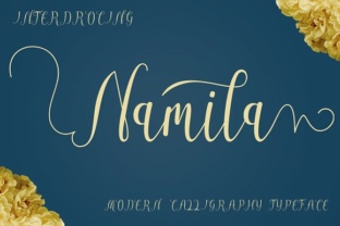 Mastering Namila: A Practical Framework for Structured Execution
