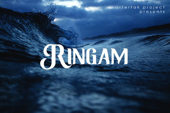 Ringam: A Practical Tool for Streamlined Collaboration and Asset Management