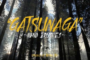 The Art and Precision of Gatsunaga Hand Brushes: A Deep Exploration of Craft and Utility