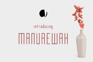 Understanding Manurewah: A Strategic Lens for Intentional Action and Sustainable Results