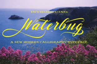 Waterbug: A Practical Guide to Streamlining Your Digital Workflow