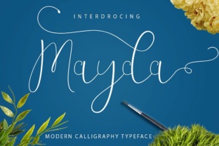 Why Mayda Is Reshaping How Professionals and Creators Approach Their Work