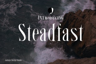 Why Steadfast Matters for Modern Professionals and Creators